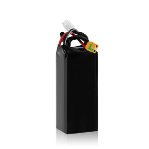 10000mAh 6s 50C
